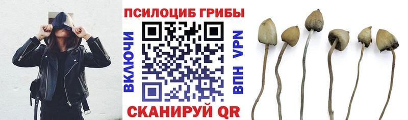 наркошоп  Кизилюрт  Галлюциногенные грибы ЛСД 